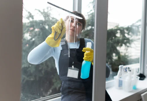 Nettoyage de vitres intérieures et extérieures à Lanvallay